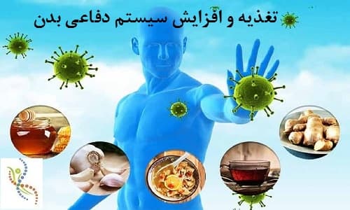 نقش تغذیه در تقویت سیستم ایمنی بدن